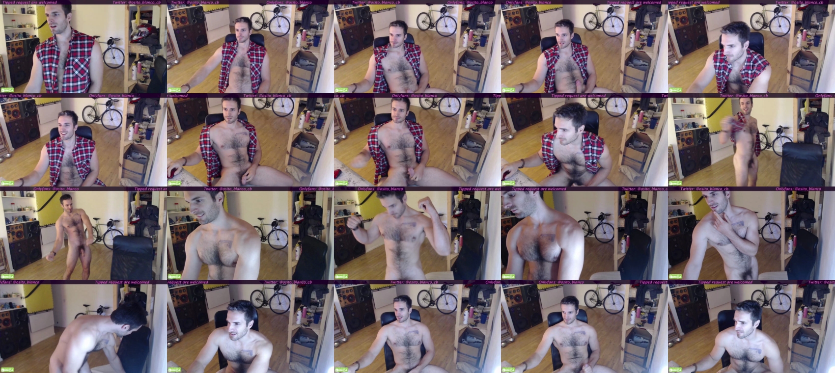 osito_blanco  13-04-2023